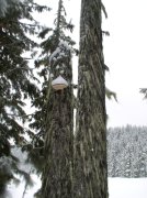 Ghost Ridge-Twin Lakes 067 